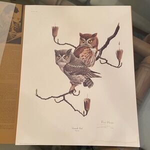 Ray Harm "Screech Owl" Art Print Signed Plate XLV From Frame House Gallery 1974